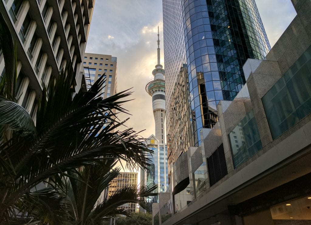 Sky tower and high rises in Auckland