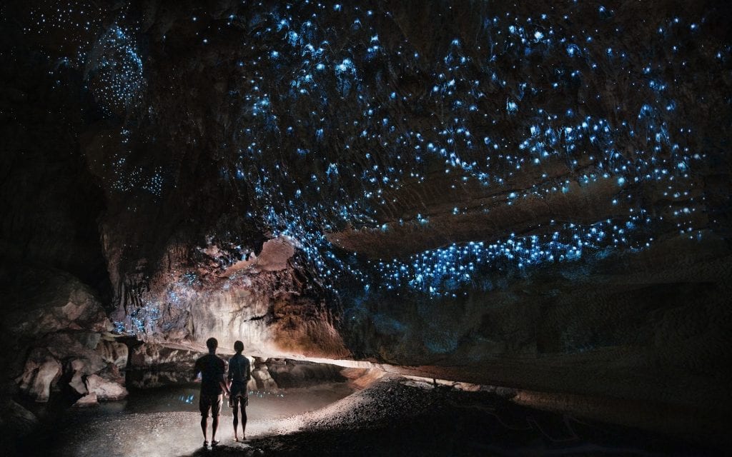 Waitomo Glow Worm Caves in New Zealand